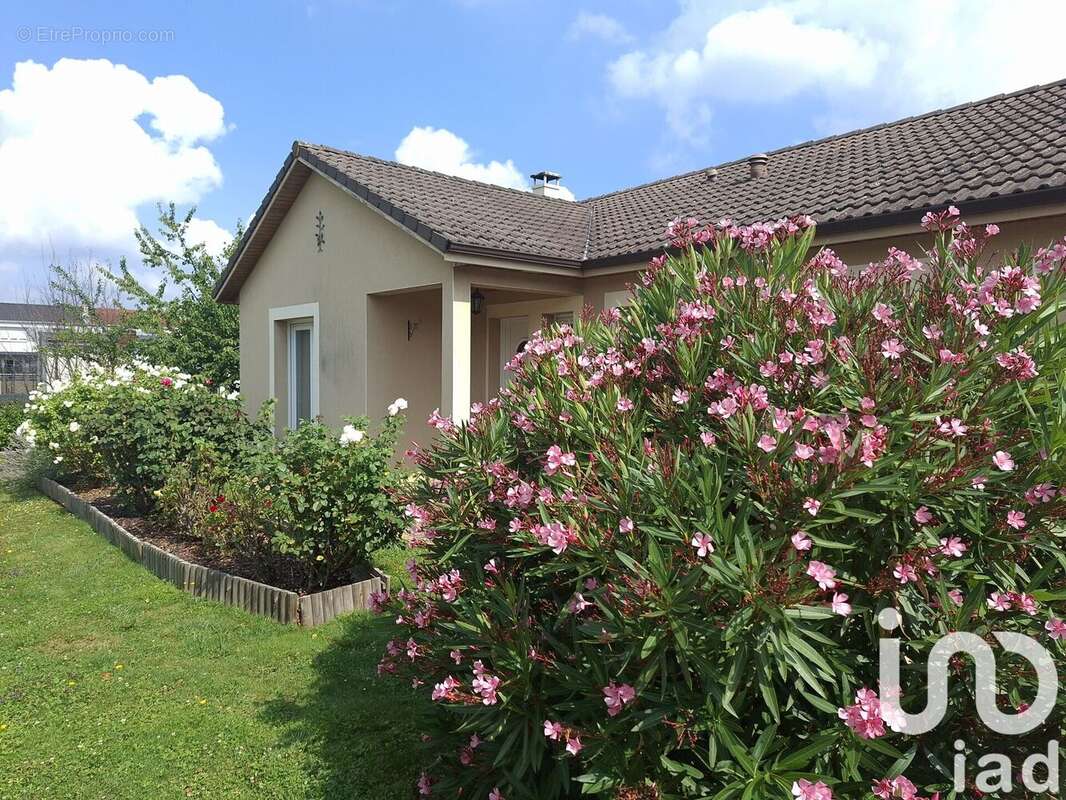 Photo 3 - Maison à YUTZ