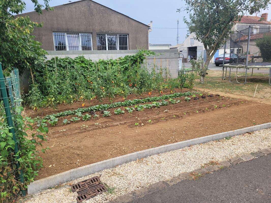 Maison à FONTENAY-LE-COMTE