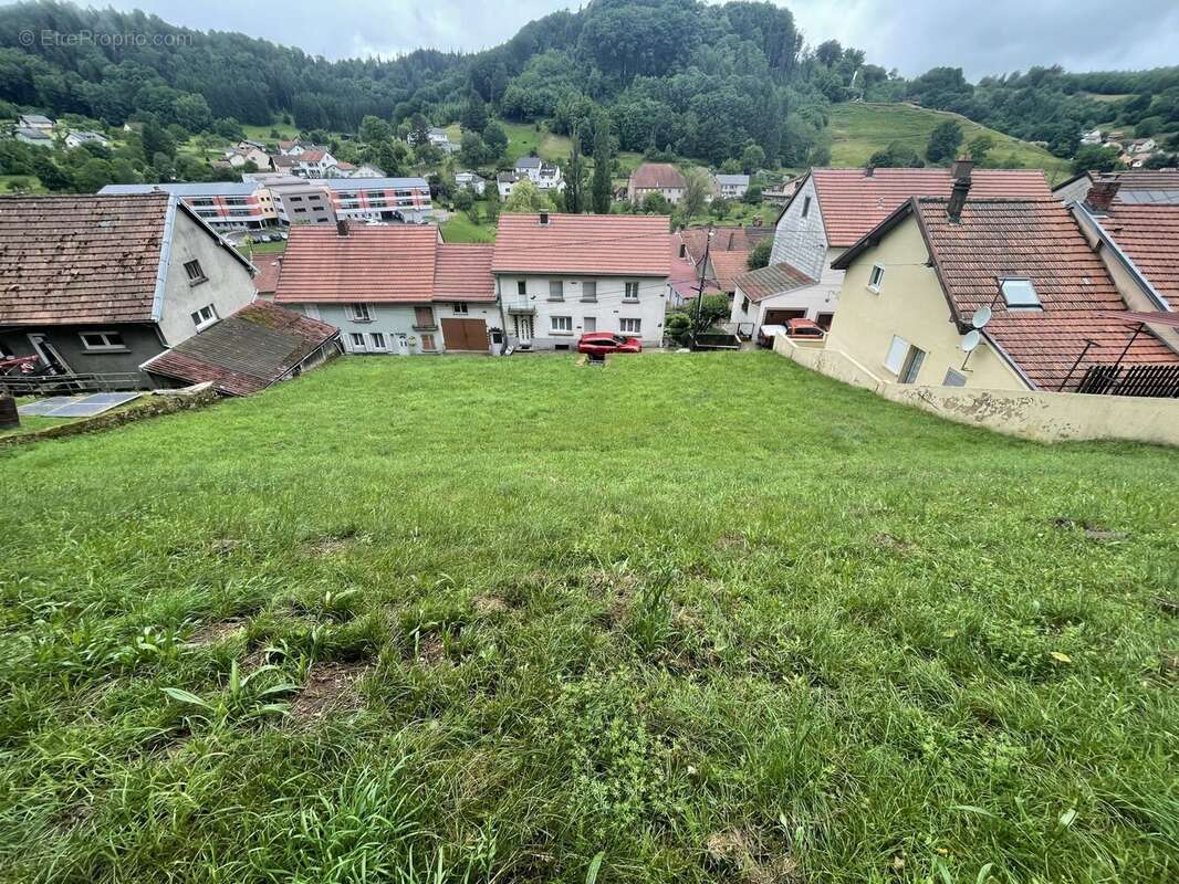 Terrain à WALSCHEID