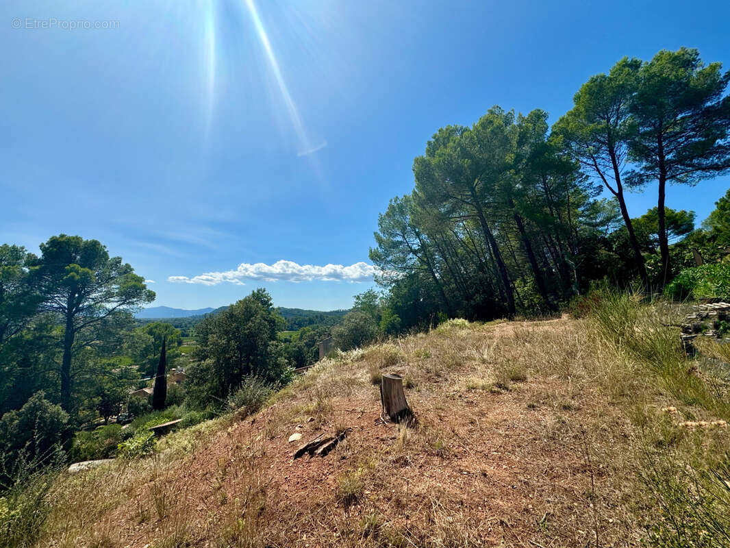Terrain à TARADEAU