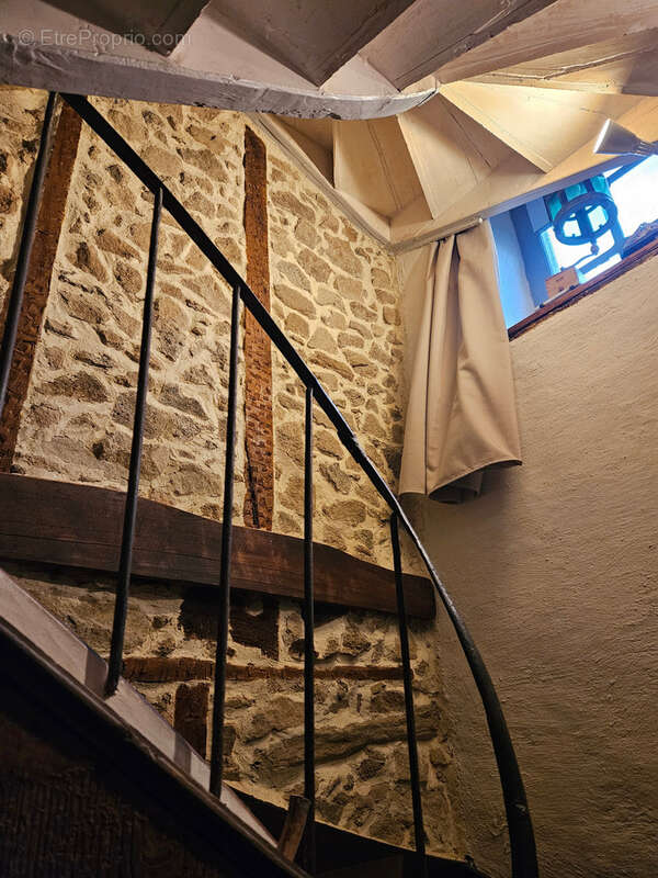 Grande maison rénovée avec atelier ou local commercial, terrasse panoramique et jardin (Mourjou - Puycapel, 15) - photo 9