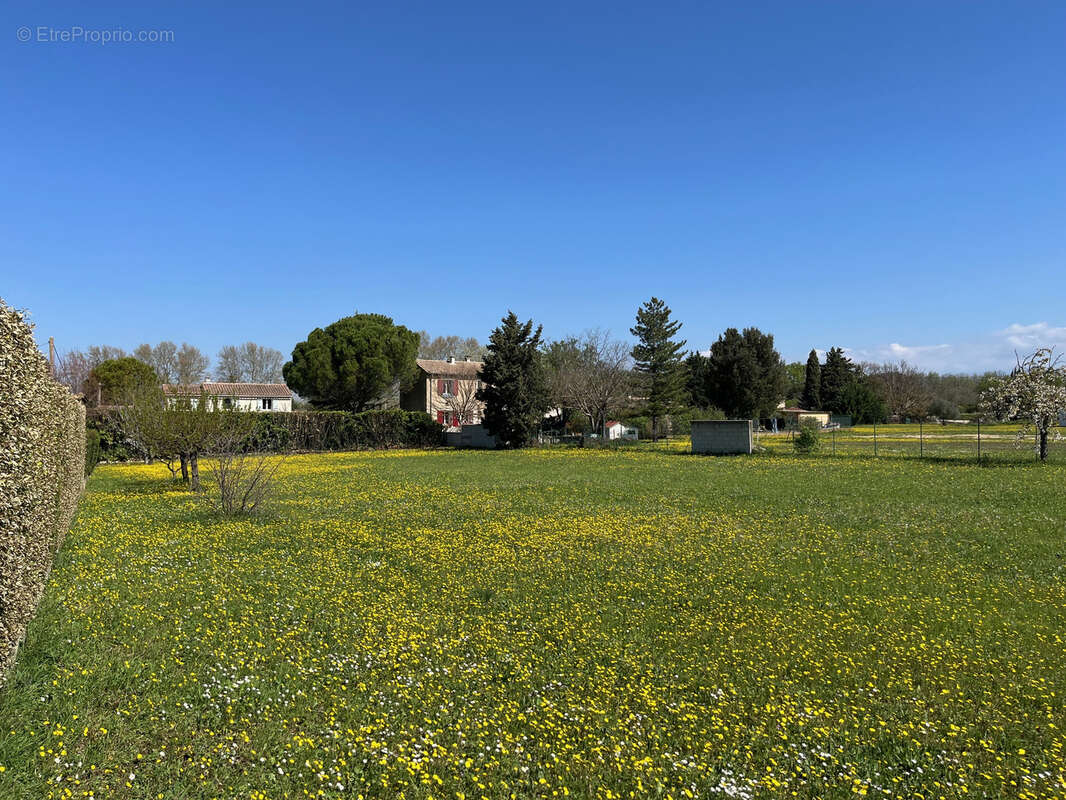Terrain à PERNES-LES-FONTAINES