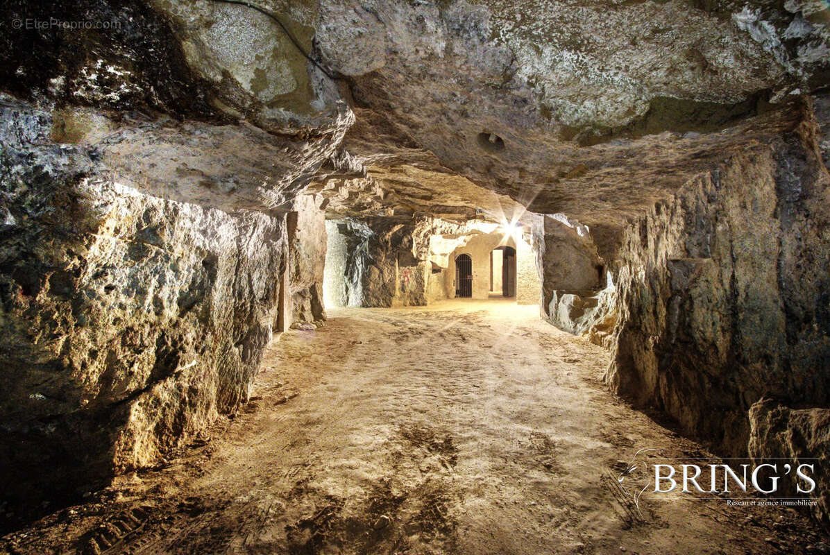 Maison à SAINT-NICOLAS-DE-BOURGUEIL