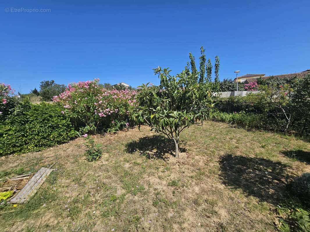 Maison à CARCASSONNE