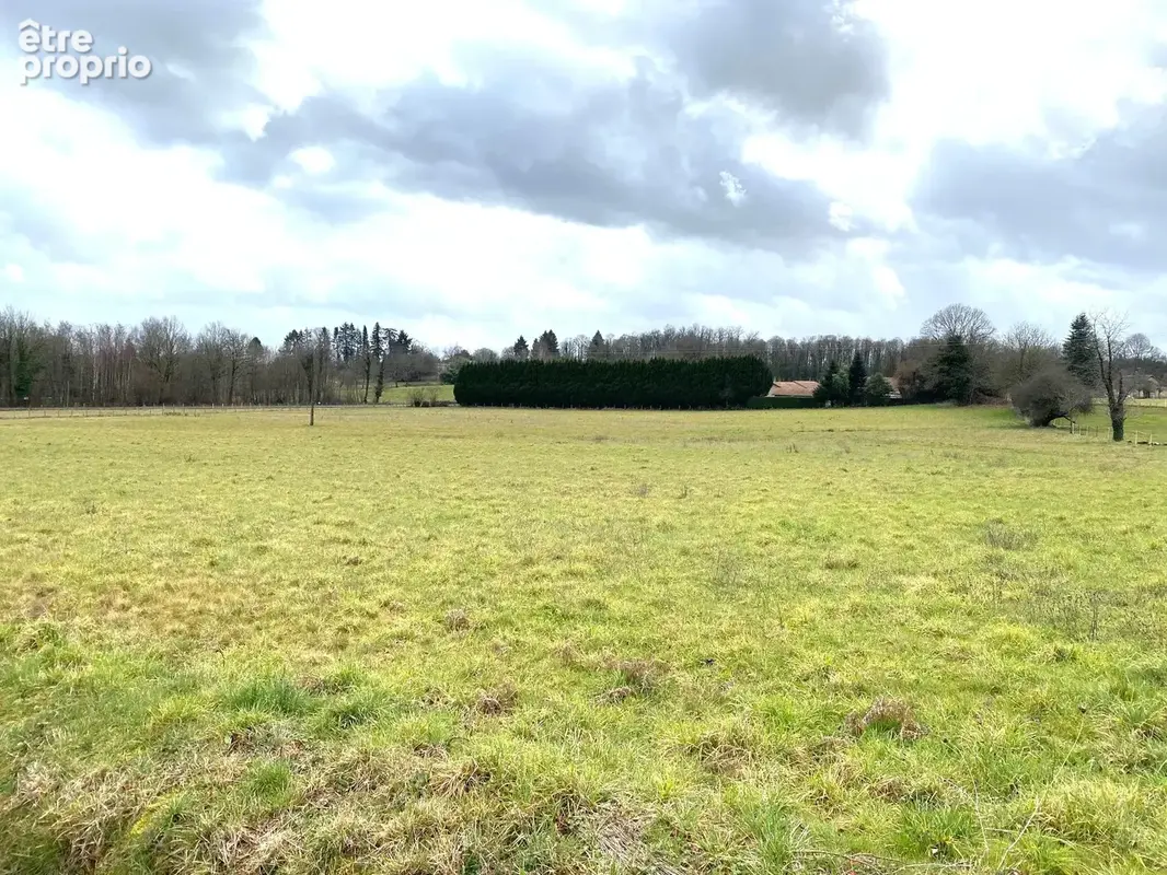 Terrain 10000 m² à Saint-Yrieix-La-Perche  - photo 356
