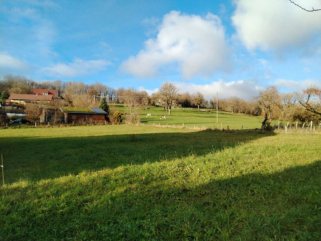 Terrain à SAINTE-ANNE