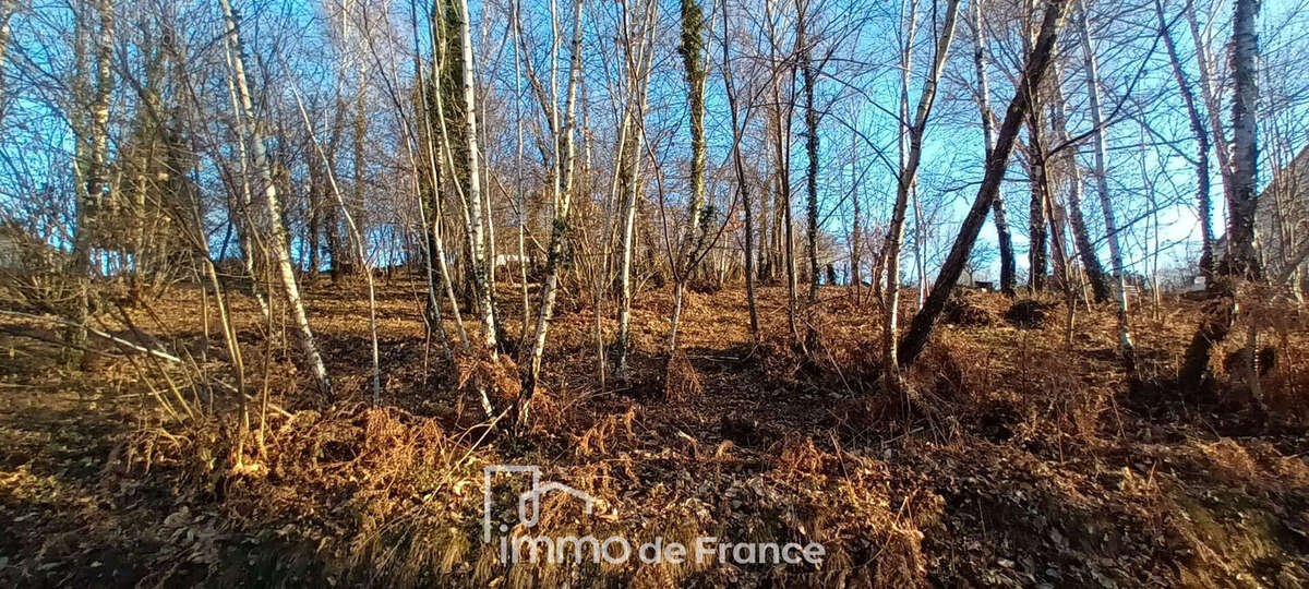 Vallée du Lot-Terrain Flagnac 1395 m2 - photo 4