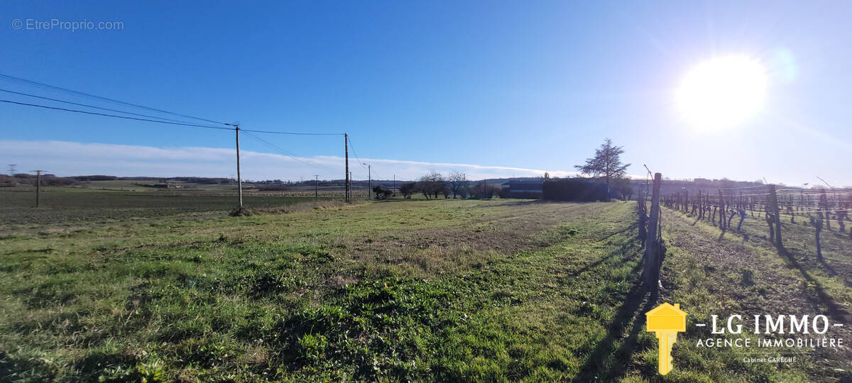 Terrain à SAINT-CIERS-DU-TAILLON