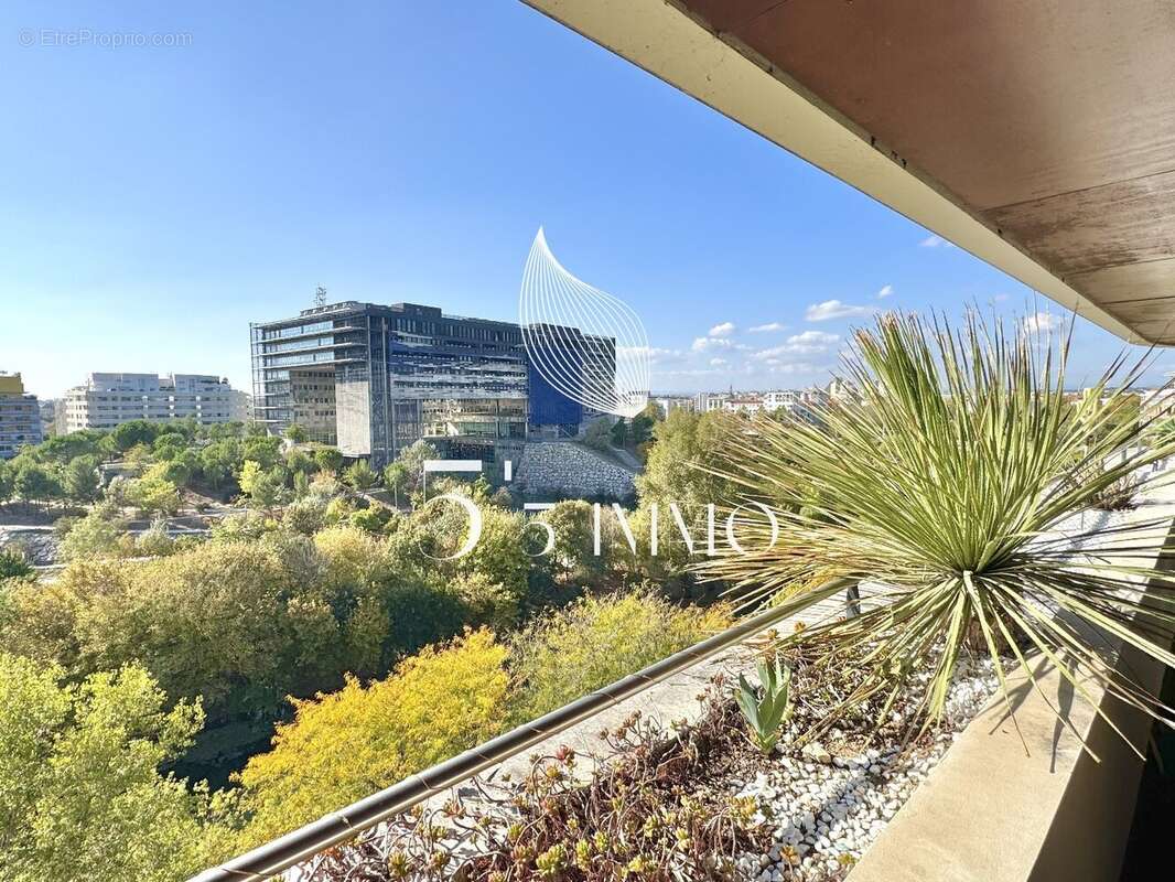 Appartement à MONTPELLIER