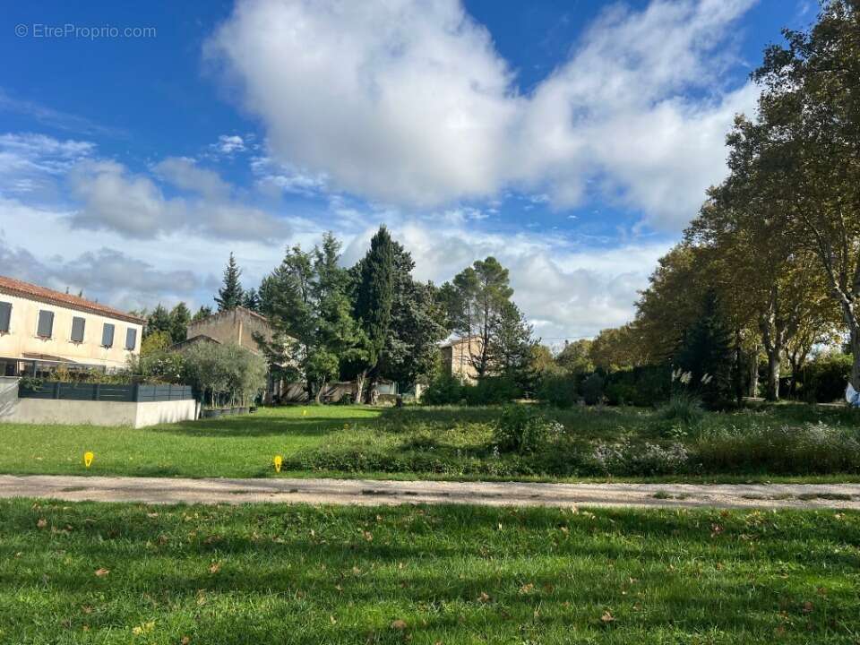 Terrain à SAINT-REMY-DE-PROVENCE