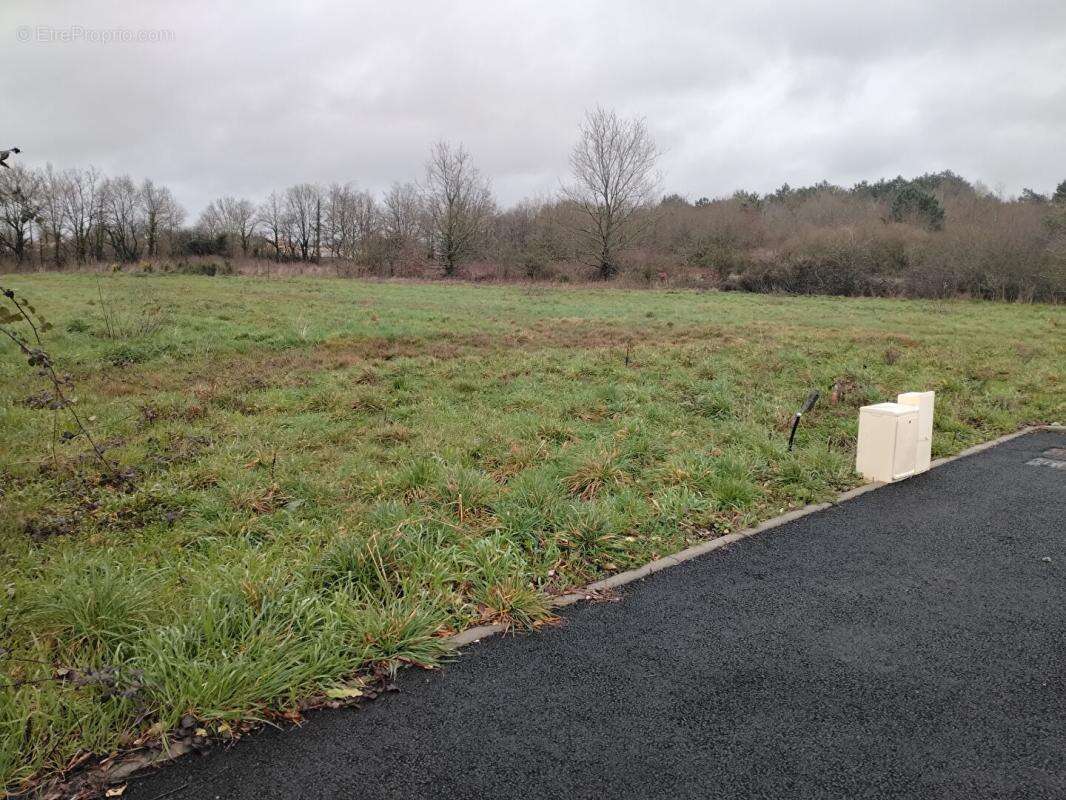 Terrain à LA MARNE