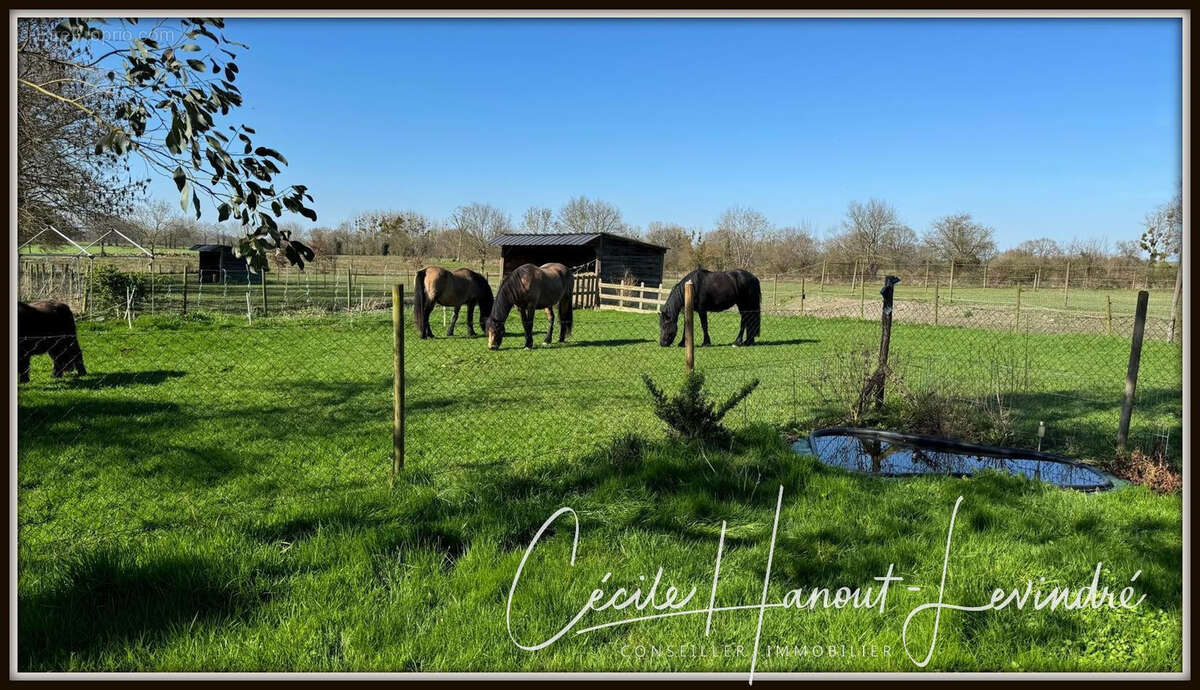 AUCEY LA PLAINE- Proche Mt St Michel-  Ensemble immo Maison: 270 m2 hab. + Dépendances pierre + Terrain 1,7 ha - photo 32