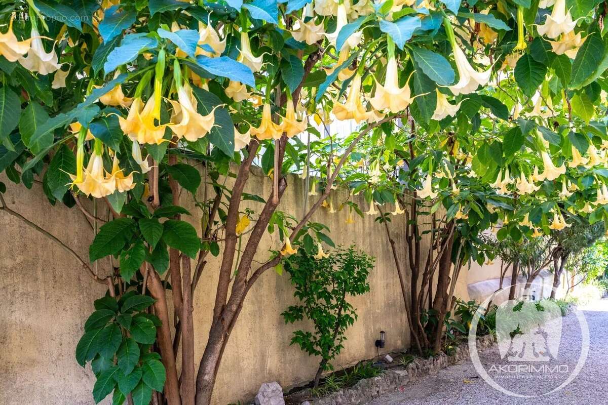 Vente Appartement 2 pièces à Nice • Fleurs - photo 41