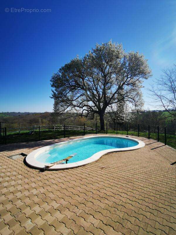 Propriété de 2 maisons avec piscine sur 11ha Armous et Cau ( - photo 11