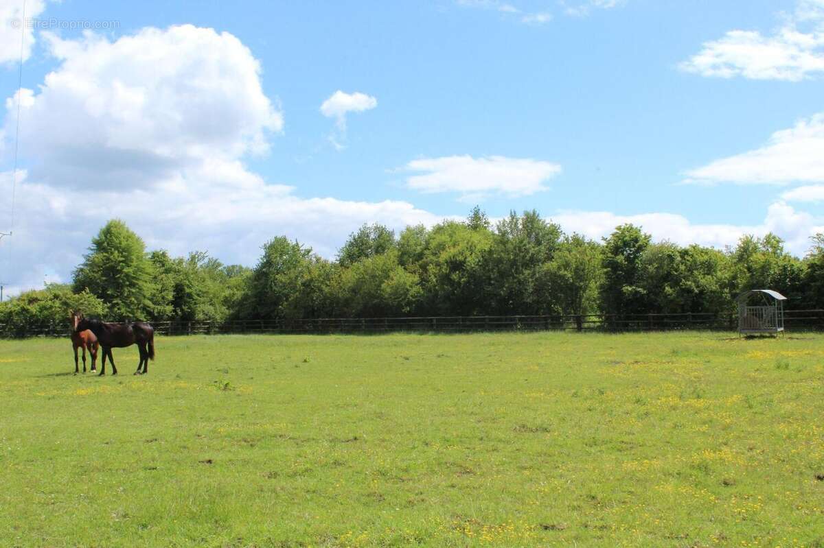   - Maison à SEICHES-SUR-LE-LOIR