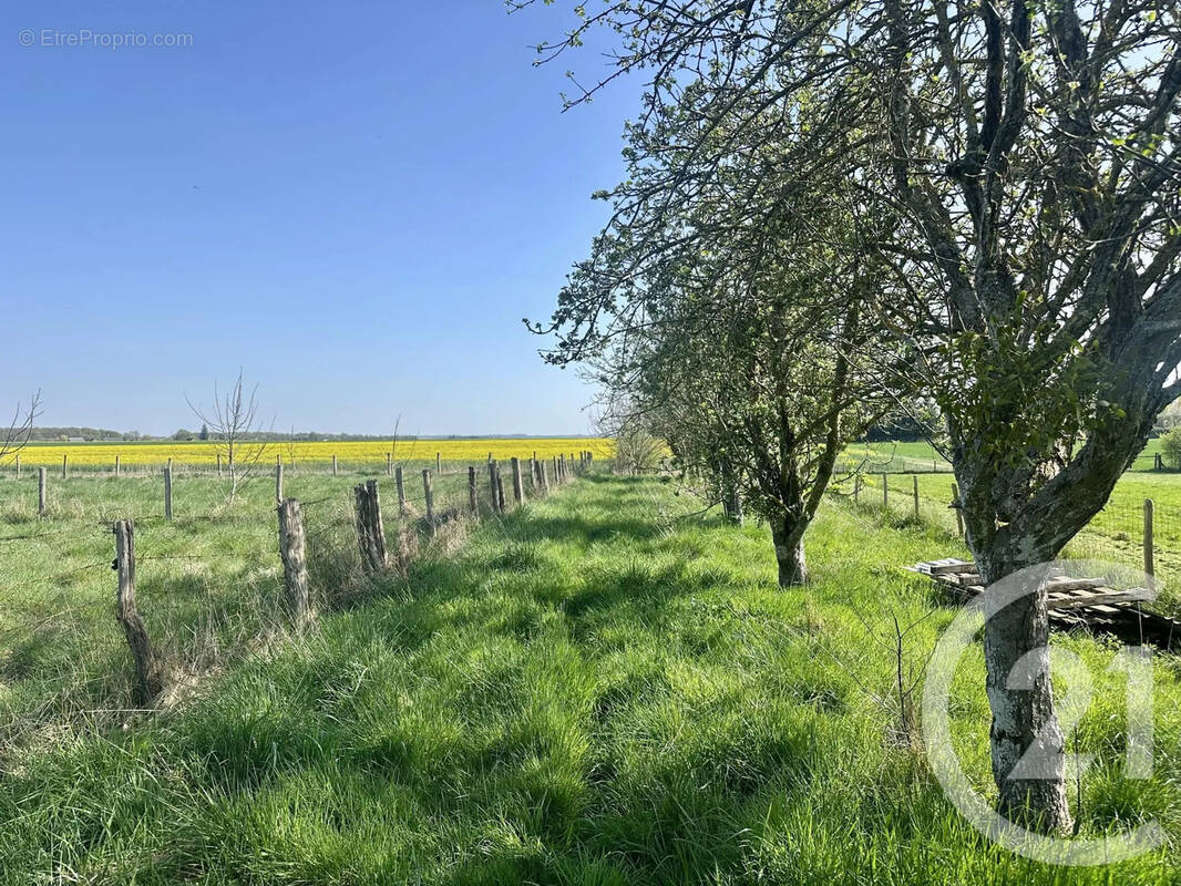 Terrain à MEZIERES-AU-PERCHE