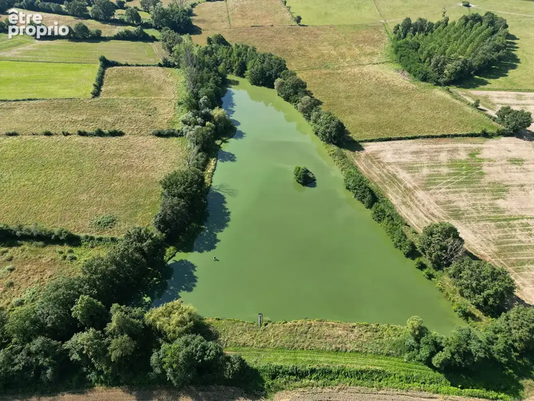 ST MARTIN EN BRESSE, étang sur 2ha70a. - photo 2
