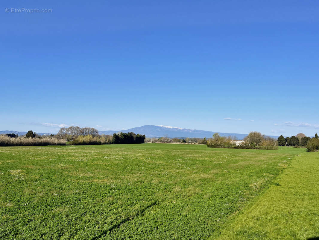 Propriete 315 m2 - photo 13