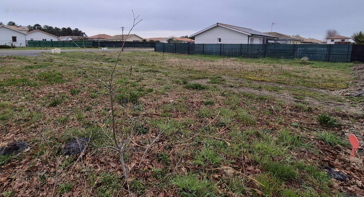 Terrain à PARENTIS-EN-BORN