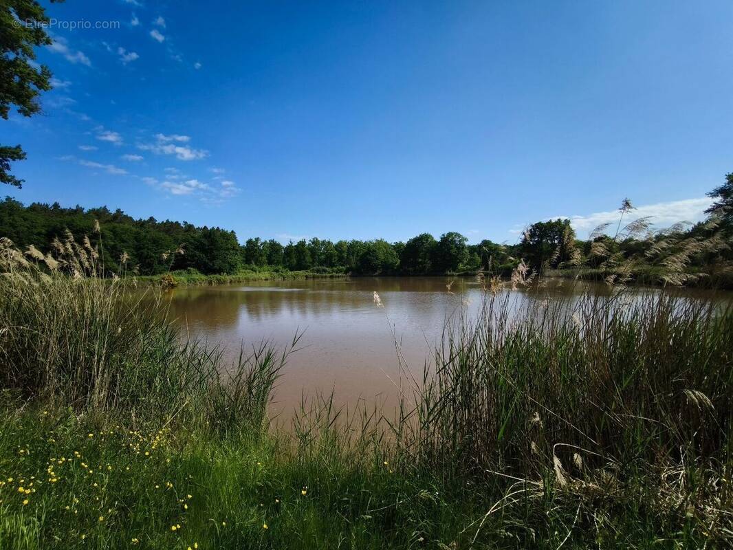 Terrain à MUR-DE-SOLOGNE