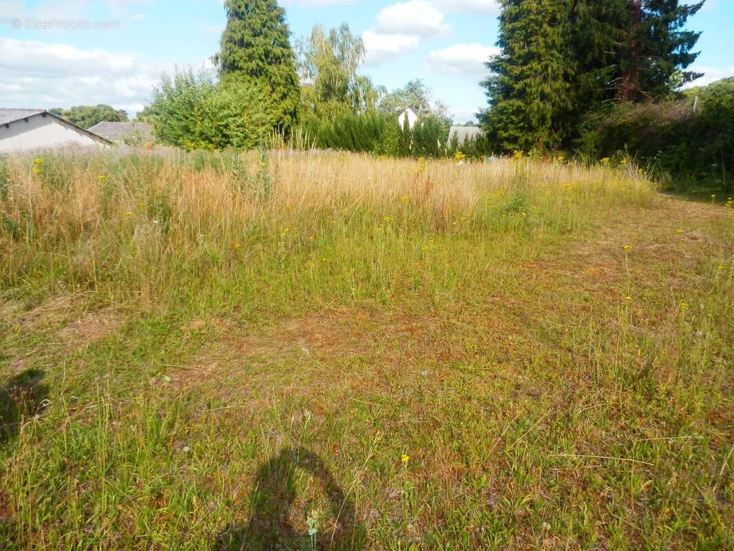 Local d'activités de 730 m²,  3000 m² de terrain - photo 11