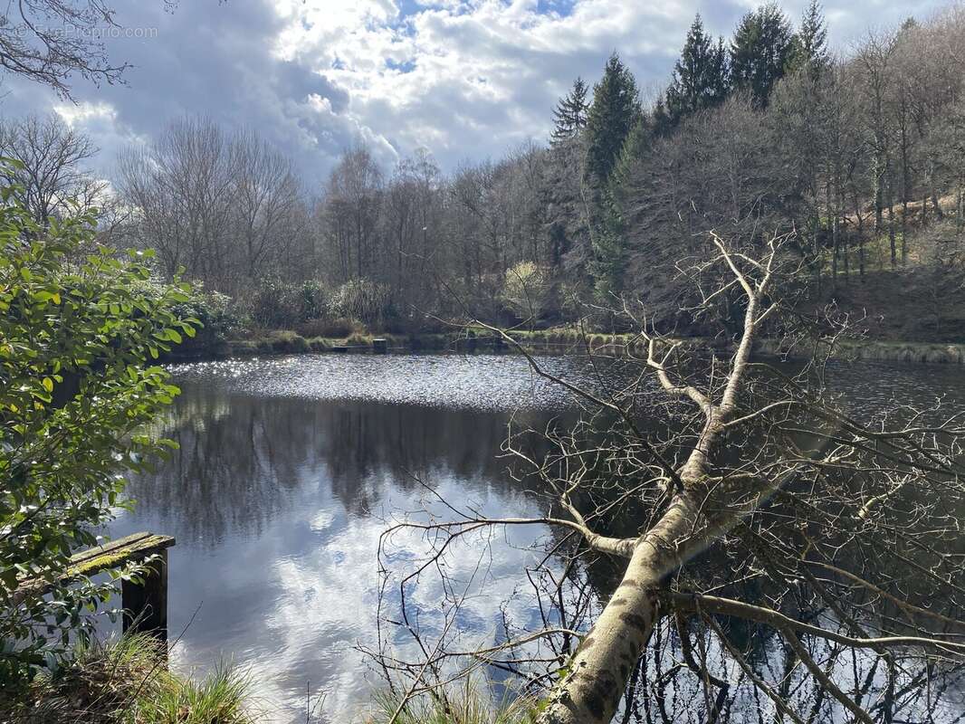 Maison à EYMOUTIERS