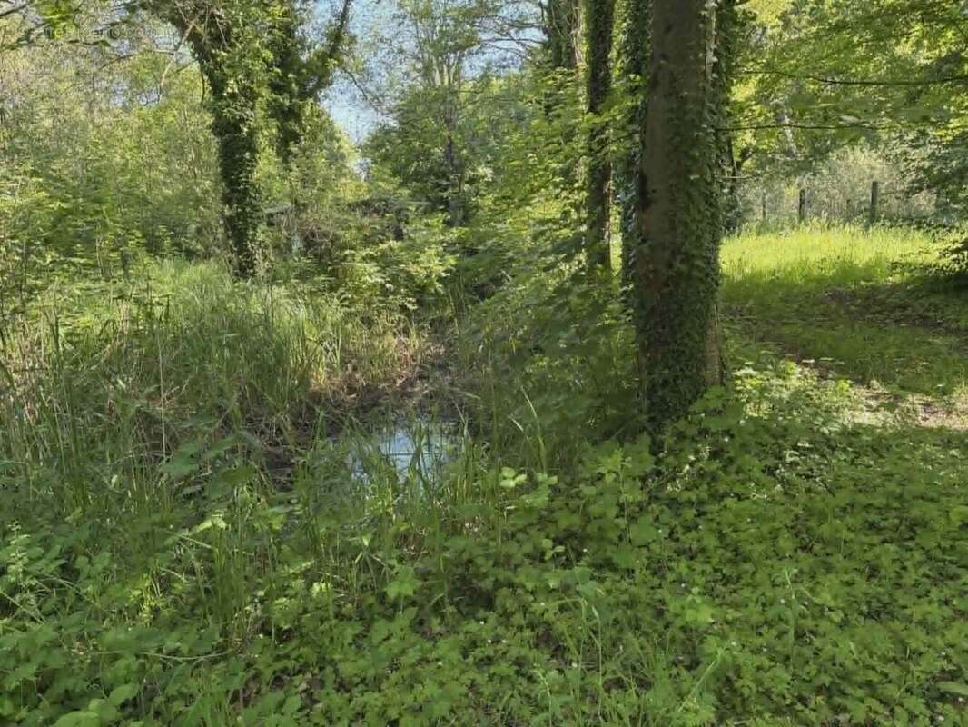 Terrain à CAMBRON