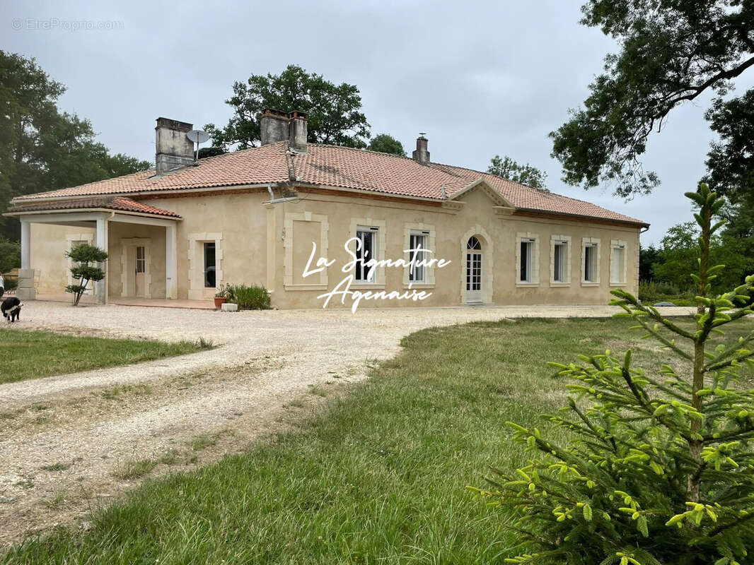 Maison 300 m² à Manciet  - photo 6