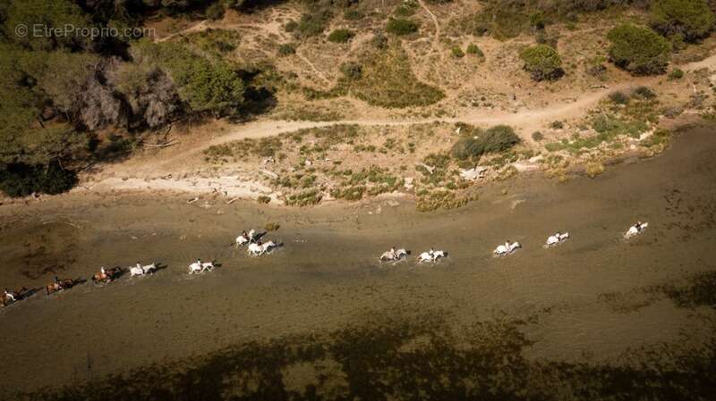 Commerce à SAINTES-MARIES-DE-LA-MER