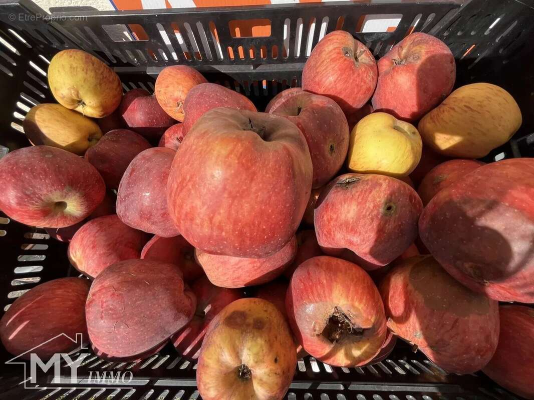 Maison à SAINT-SEURIN-DE-PRATS