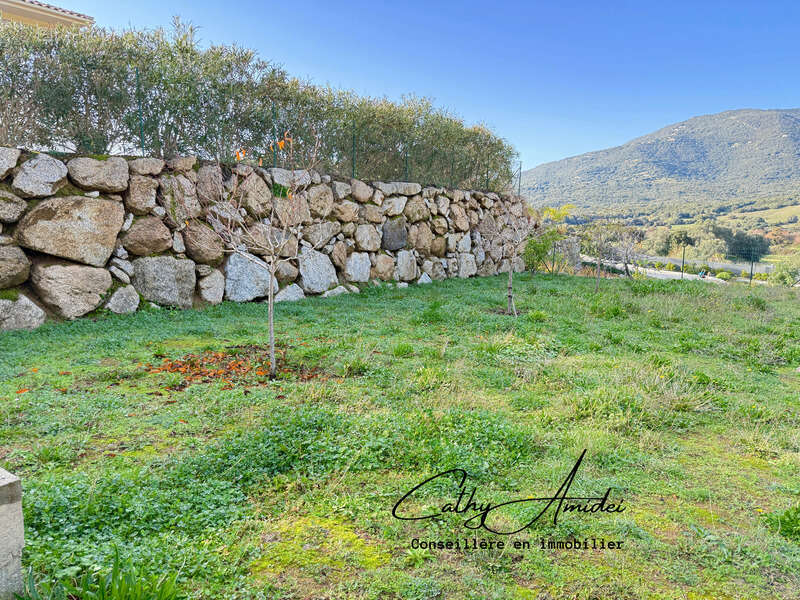 VIGGIANELLO (Corse) : Villa type T3 + appartement T2, grande terrasse, garage fermé et vaste atelier, proche plages et centre-vi - photo 8