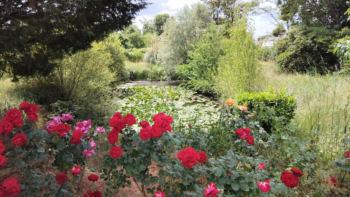 Maison à NAZELLES-NEGRON