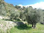 Maison à L&#039;ESCARENE