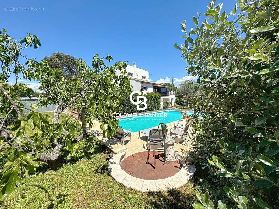 Maison à PUGET-SUR-ARGENS