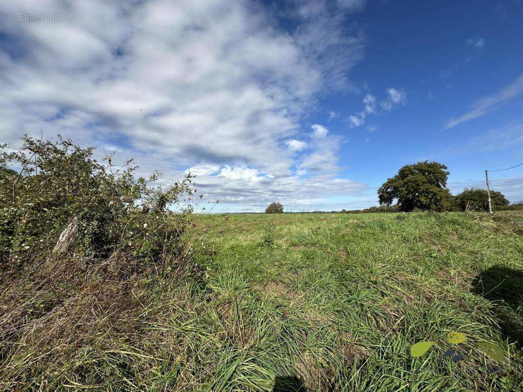 Maison à SAINT-LEONARD-DE-NOBLAT