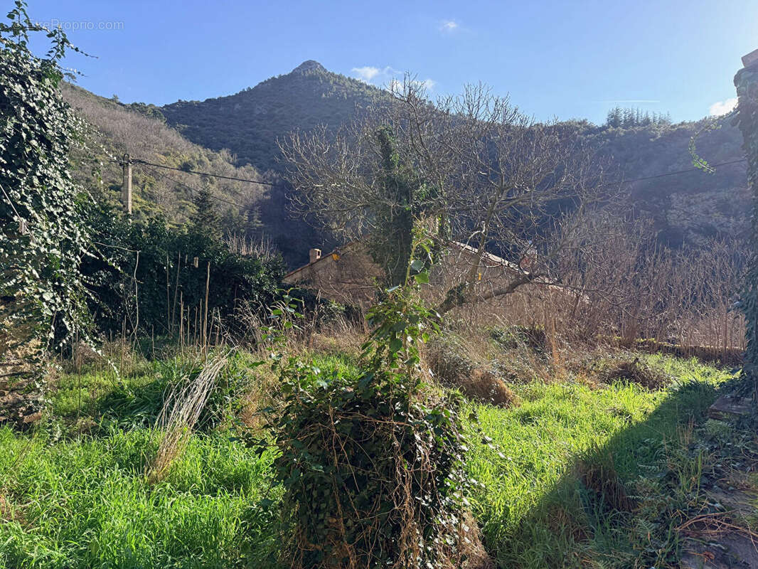 Maison à VILLENEUVE-MINERVOIS