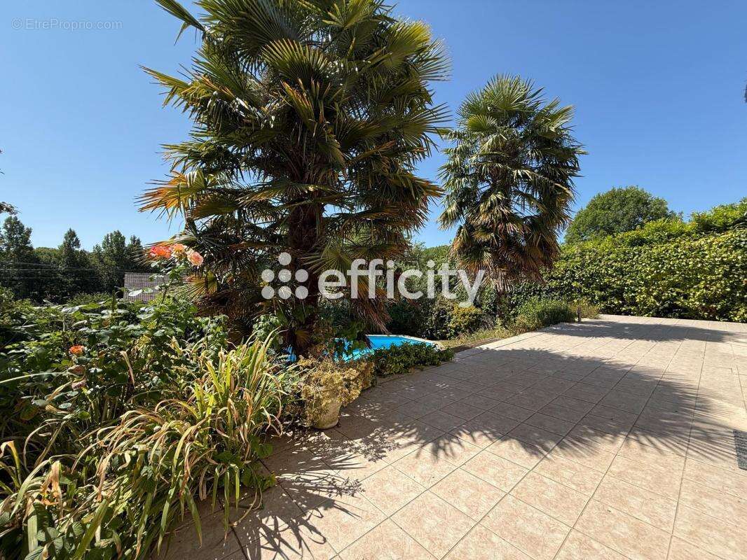 Maison 213 m² à Saint-Epain  - photo 22