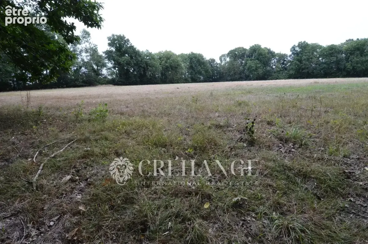 Domaine forestier de 29 ha avec bâtisse et dépendancesde 308 m². - photo 16