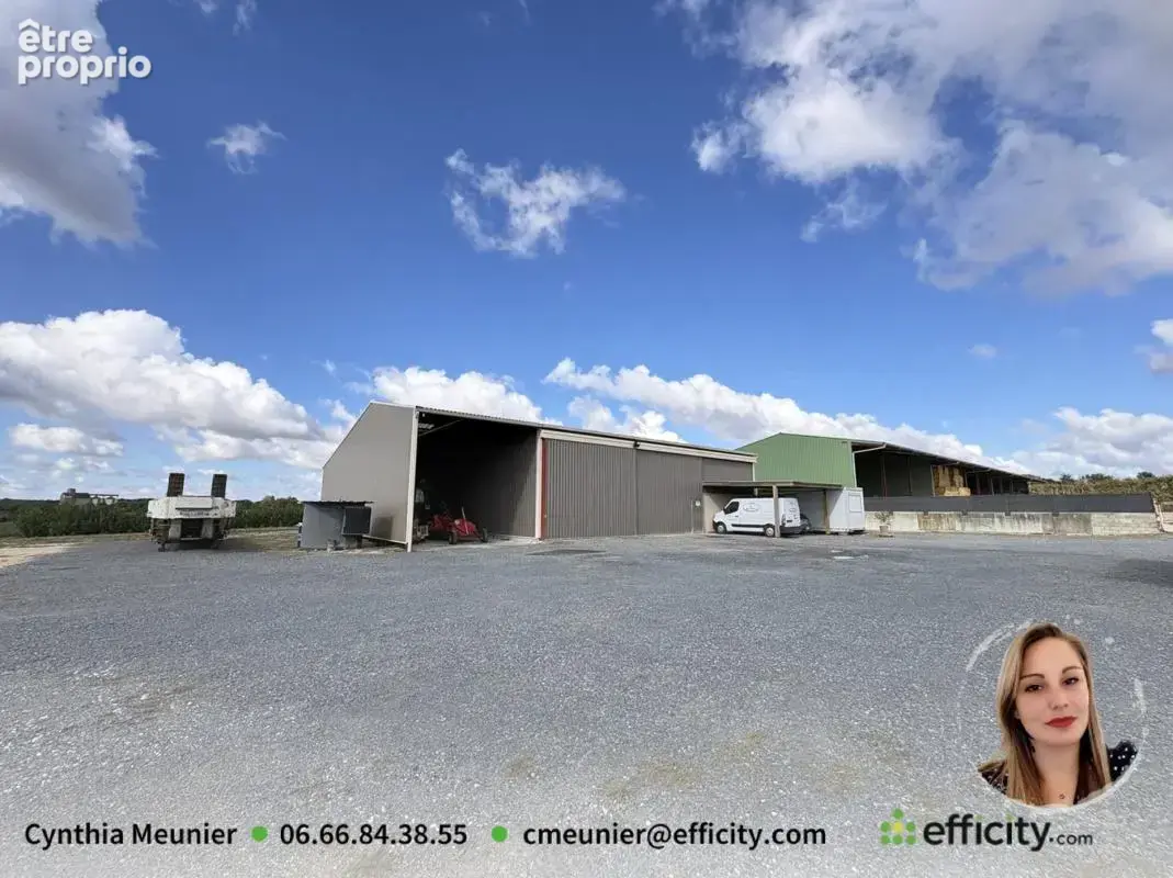 Maison 4 pièces 140 m² à vendre à Theil-Rabier (16240) - photo 16