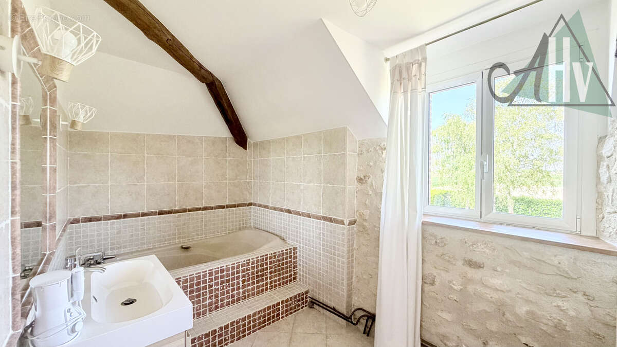 Magnifique briarde - 3 chambres - 150 m2 - photo 17