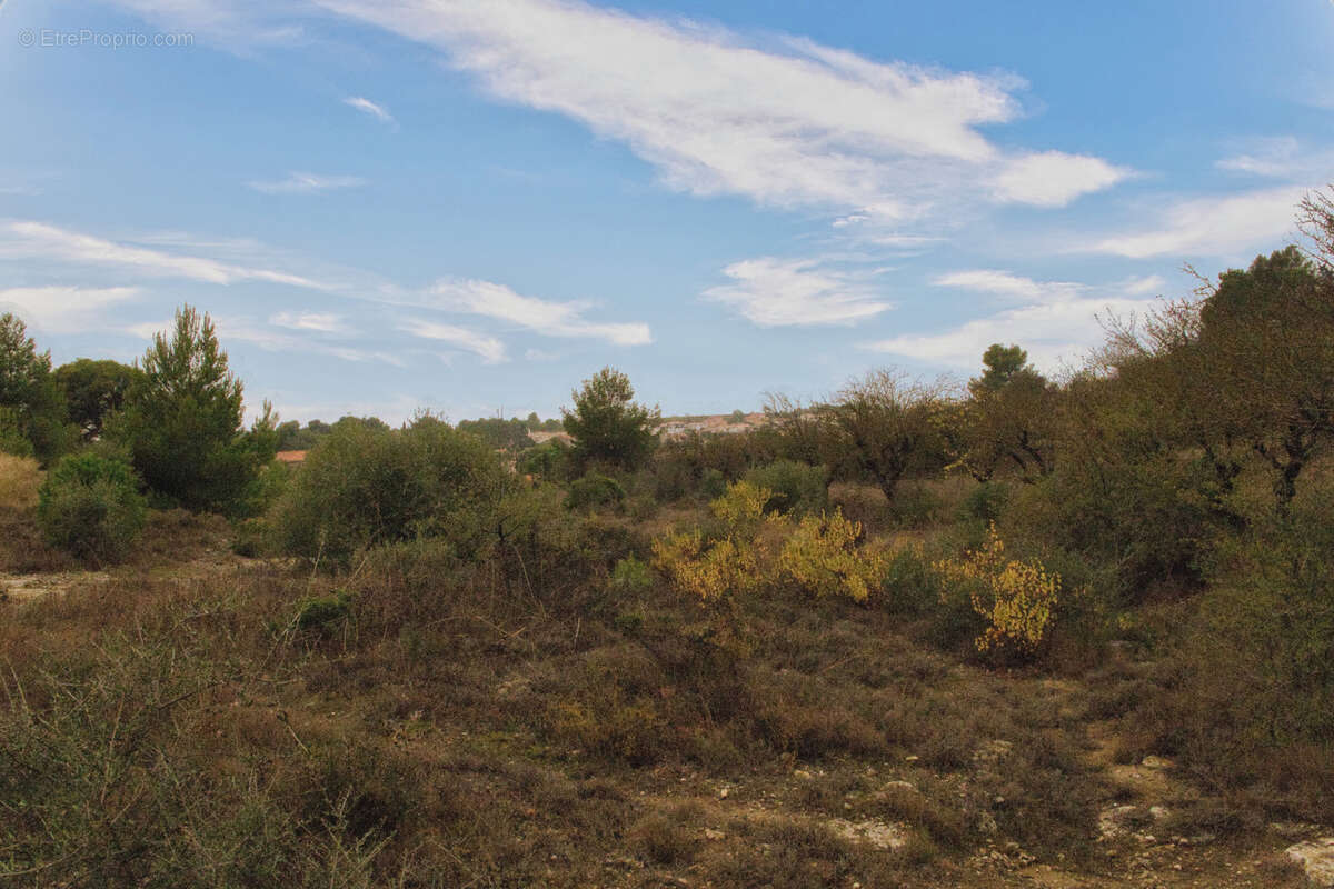 Terrain à SALLES-D&#039;AUDE