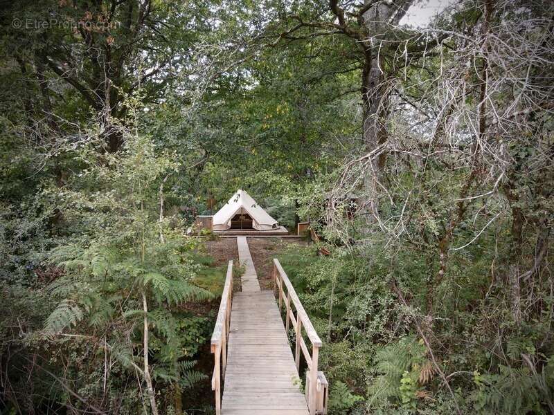 Opportunité d'affaires exceptionnelle : domaine de 24 hectares comprenant 15 hectares d'étangs, parfait pour divers projets tour - photo 3