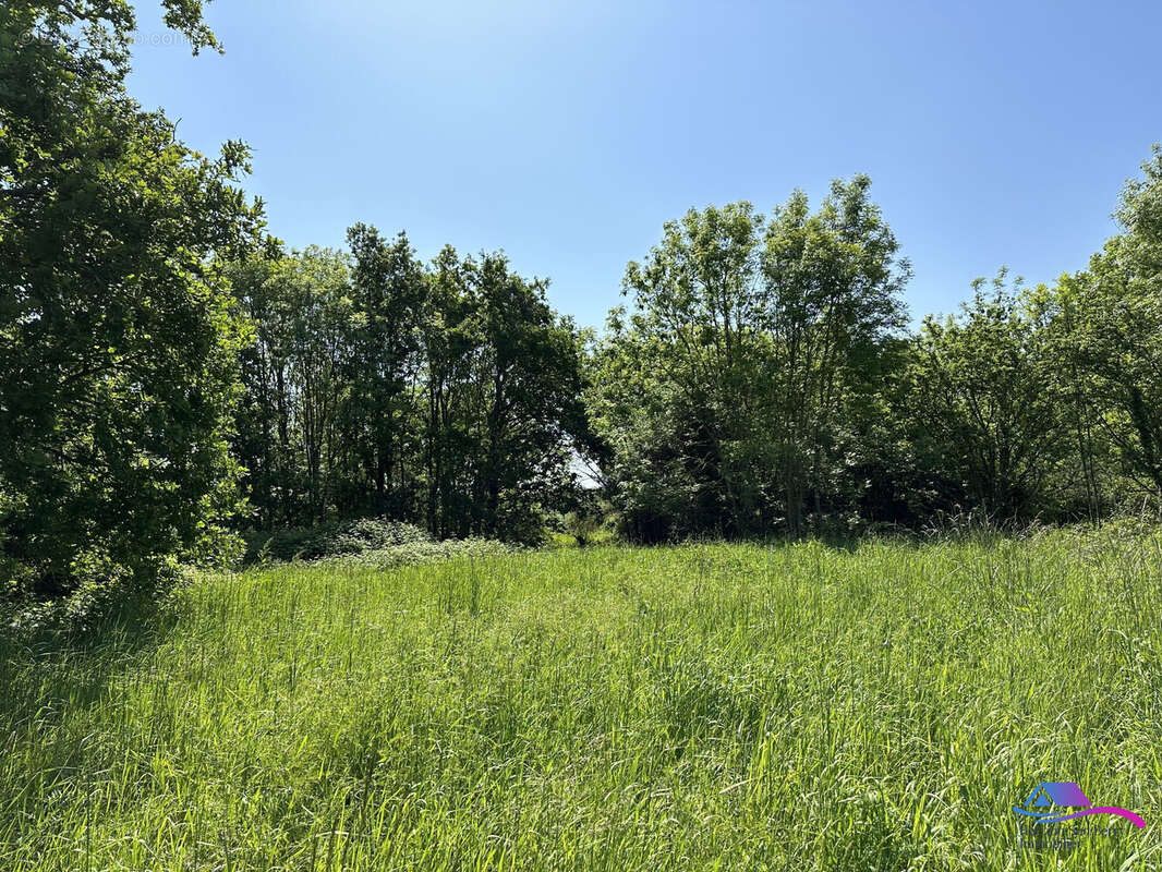 Terrain - Maison à TOUCHAY