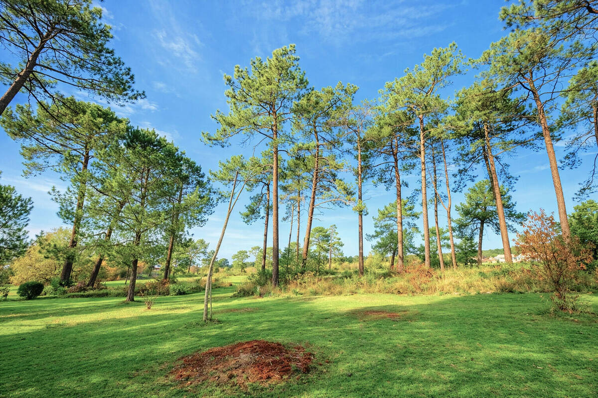 Maison à GUJAN-MESTRAS