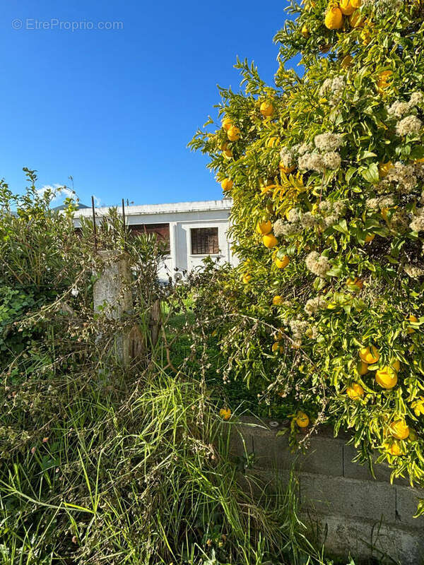 Maison à BIGUGLIA