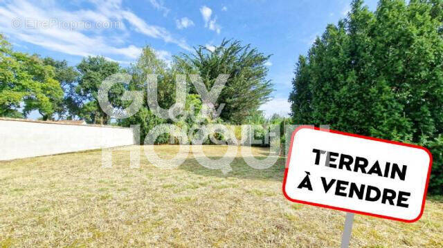 Terrain à PALAU-DEL-VIDRE