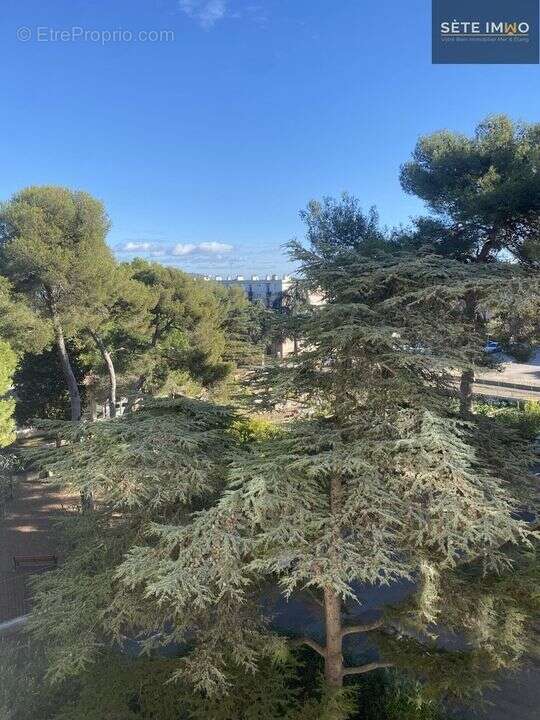 Appartement à SETE