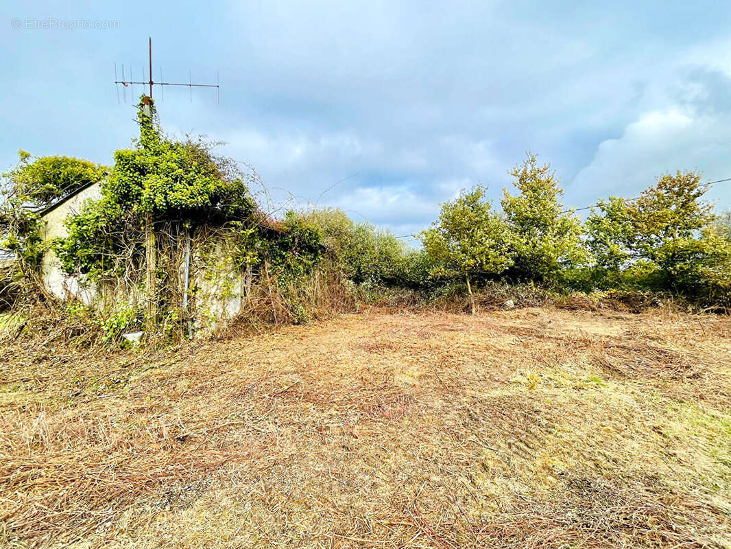 Maison à LAVAUSSEAU