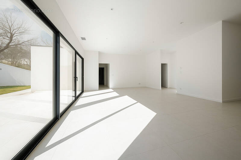 Maison à LAROQUE-D&#039;OLMES