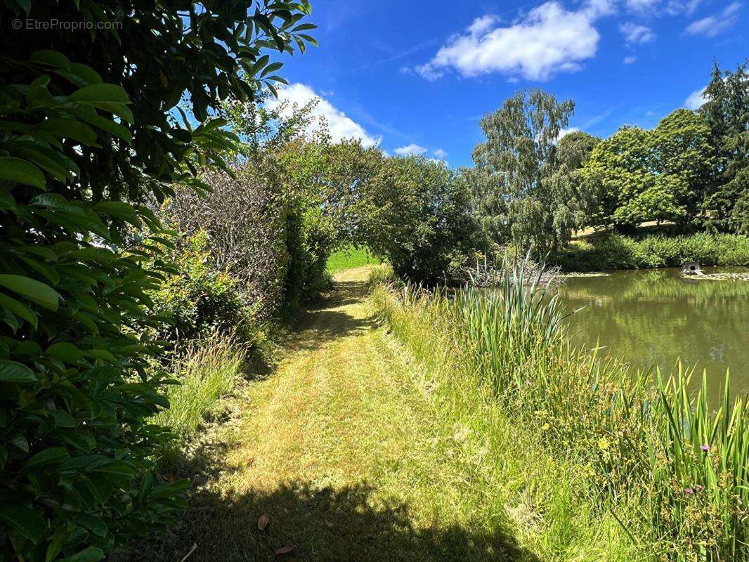 Etang avec chalet 4 pièce(s) 35 m2 - photo 2